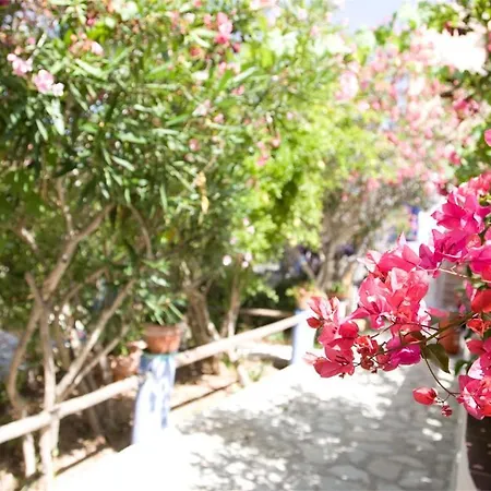 L'oasi Villaggio Hotel Favignana