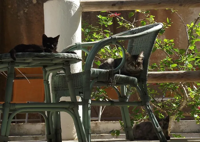 L'oasi Villaggio